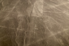 IMG_8474
